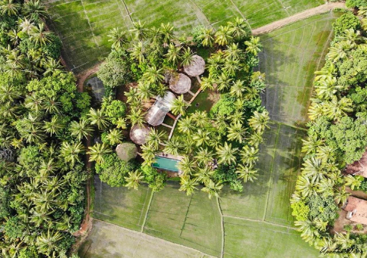 Rice Rice Villas Tissamaharama Exterior photo