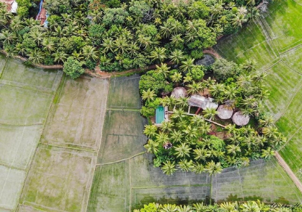 Rice Rice Villas Tissamaharama Exterior photo