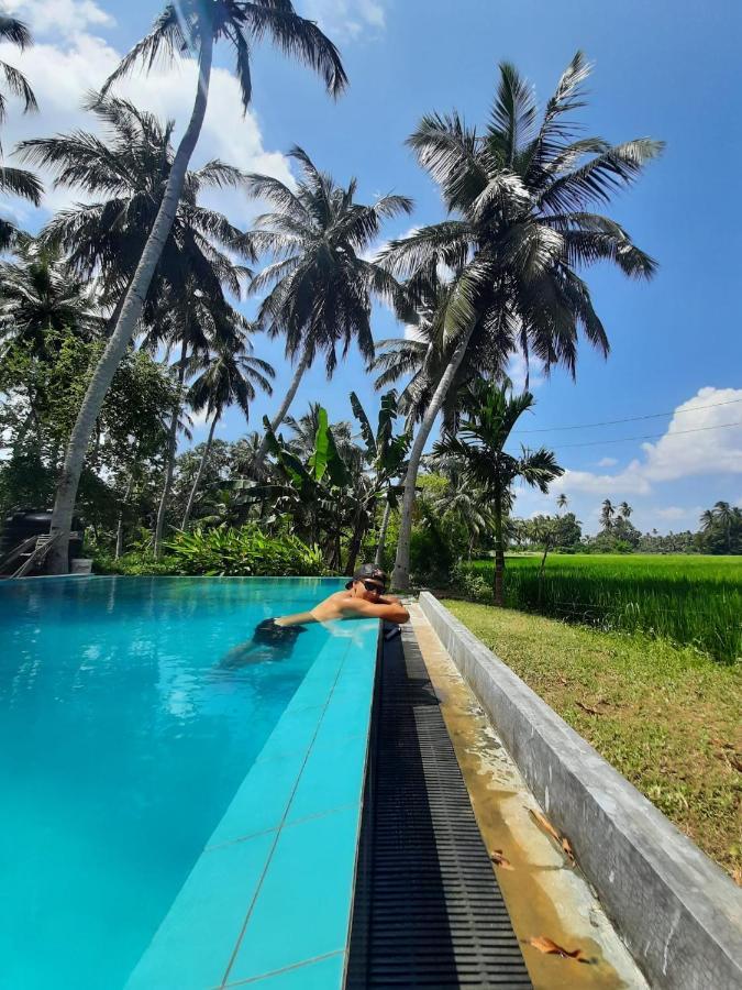 Rice Rice Villas Tissamaharama Exterior photo