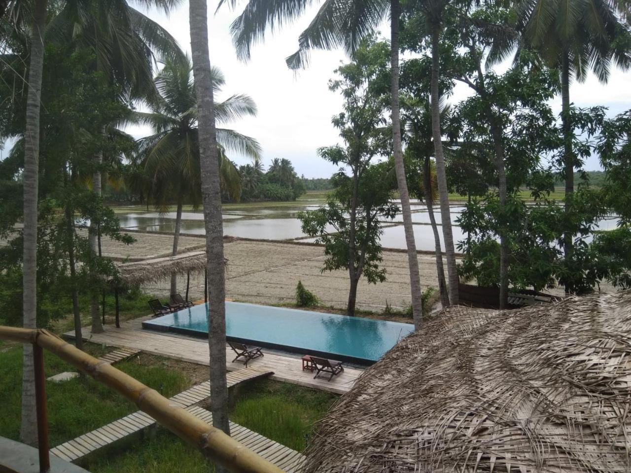 Rice Rice Villas Tissamaharama Exterior photo